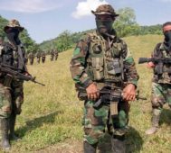 Colombia: grupo paramilitar anuncia cese al fuego