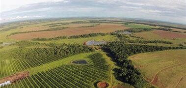 Paraguay: millonaria venta de tierras enciende las alarmas
