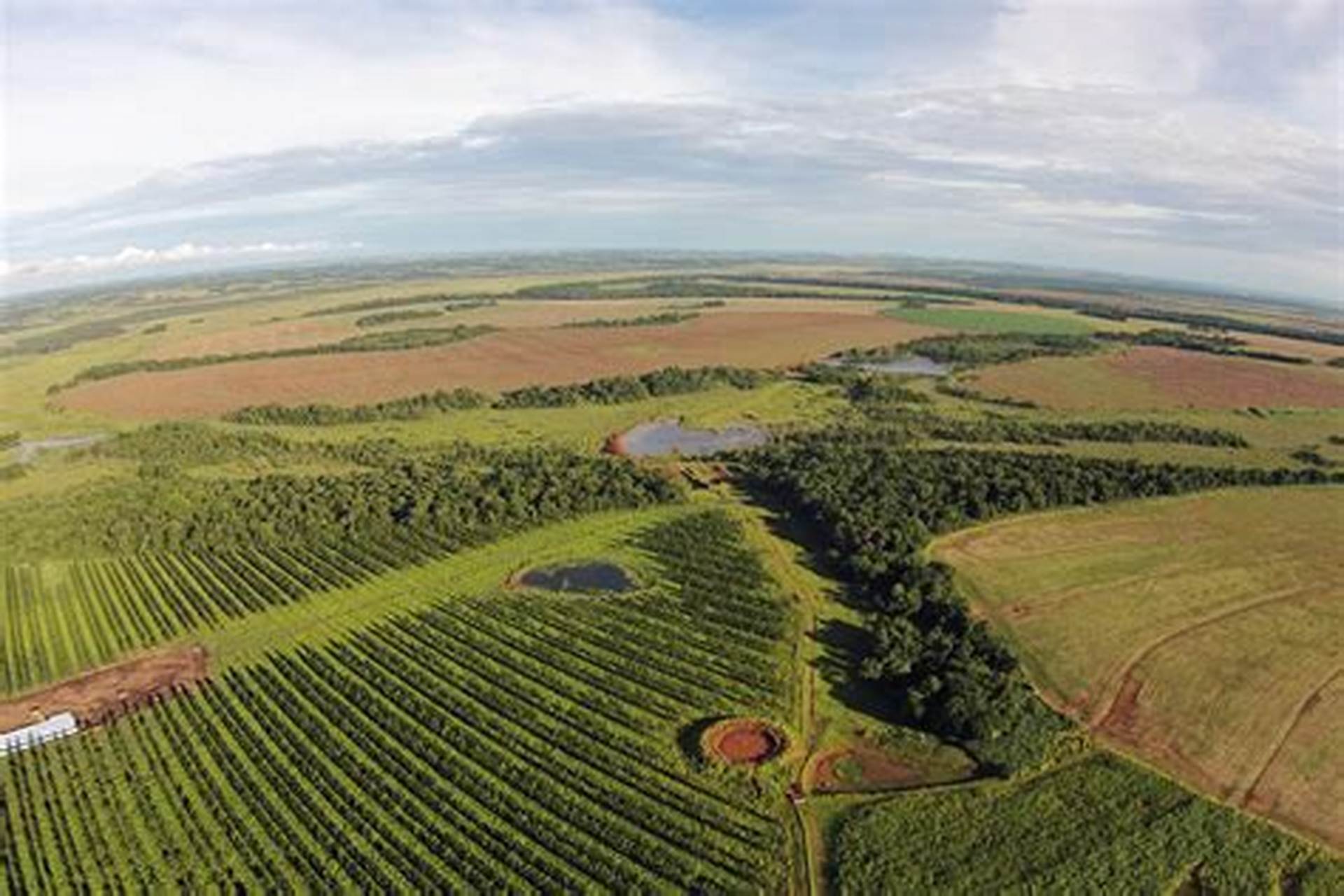 Paraguay: millonaria venta de tierras enciende las alarmas