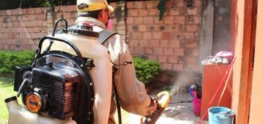 Paraguay: Chikunguña, la epidemia imprevista
